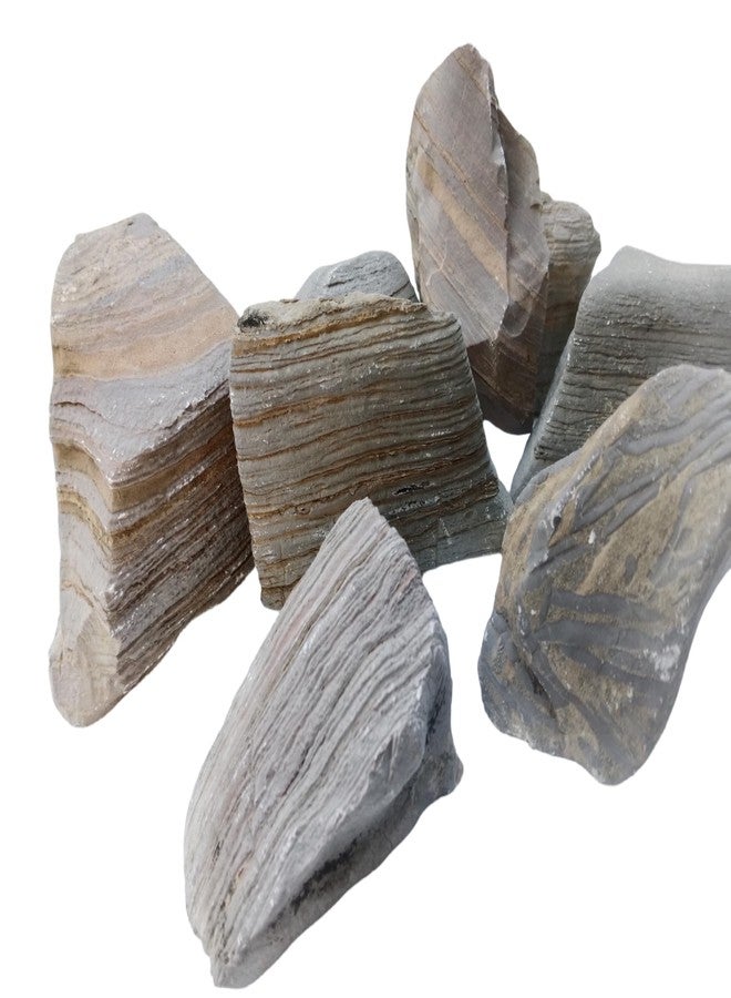 RUKDA Ancient Layered Petrified Wood Stone, Natural Fossil Rock, Aquarium Decor, Terrarium Decor, Garden Decor (1, Kilograms) - Image 2